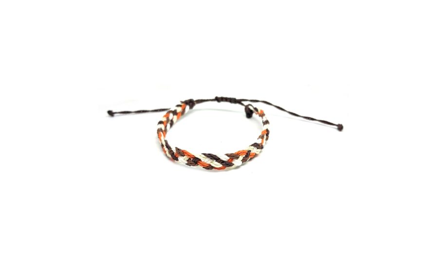 Multicolor 8 String Friendship Bracelet